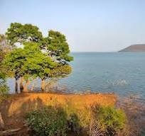 pakhal